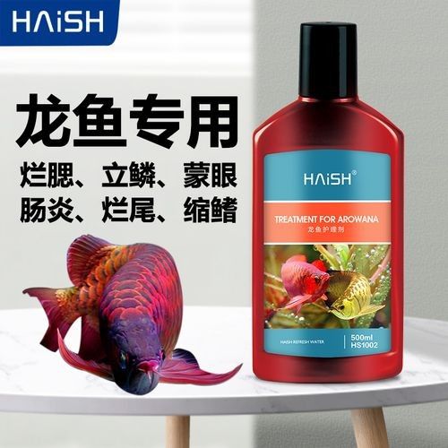 銀龍魚身上爛了怎么辦圖片大全