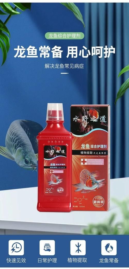 銀龍魚身上爛了怎么辦圖片大全