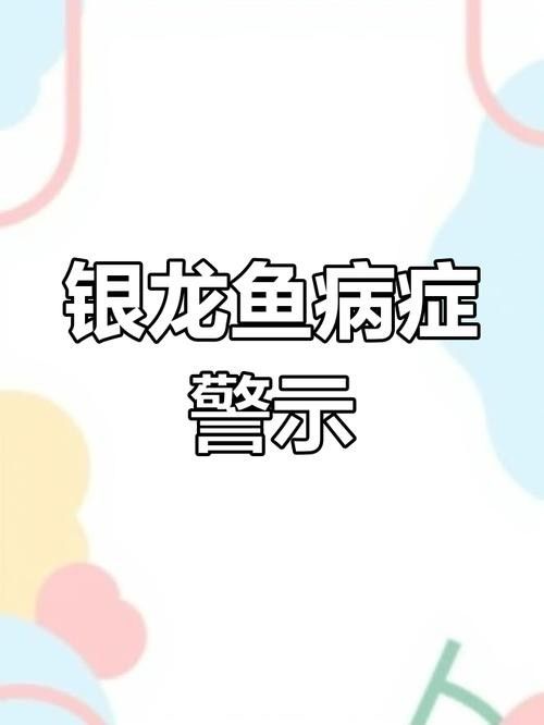 銀龍魚身上爛了怎么辦圖片大全