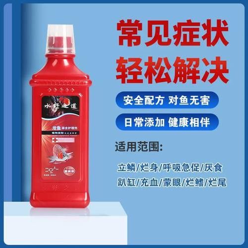 銀龍魚身上爛了怎么辦圖片大全