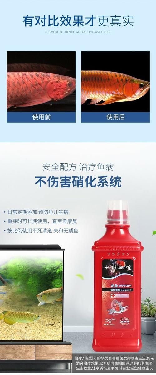 銀龍魚身上爛了怎么辦圖片大全