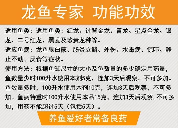 銀龍魚身上爛了怎么辦圖片大全