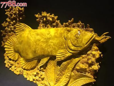 黃金龍魚價格多少一克（黃金龍魚價格(黃金龍魚價格今天多少一克）