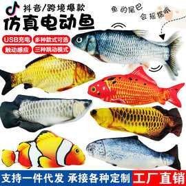 銀龍魚幼崽圖片
