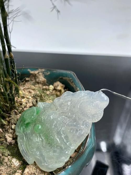 如何保養和清潔龍牌? 龍魚百科 第3張 如何保養和清潔龍牌? 如何保養和清潔龍牌? 龍魚百科 第3張
