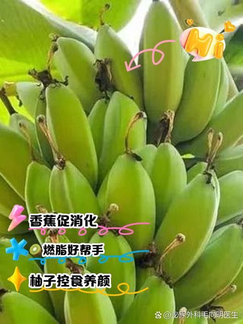 哪些水果可以幫助過背金龍消化？