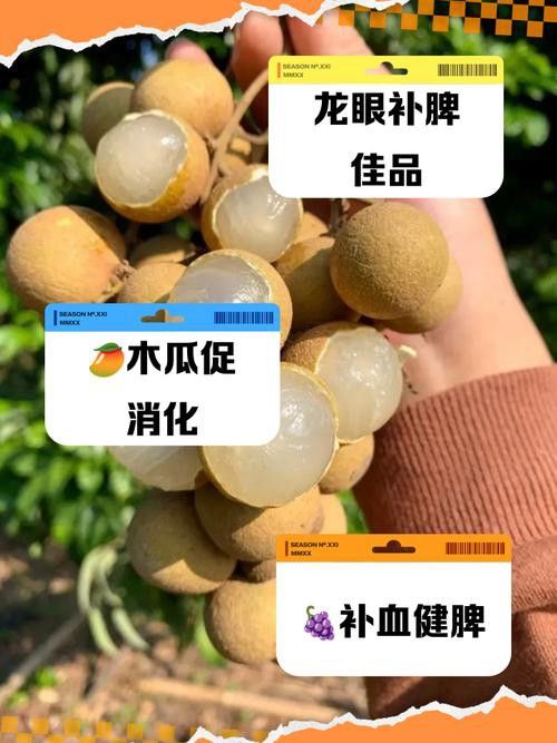 哪些水果可以幫助過背金龍消化？