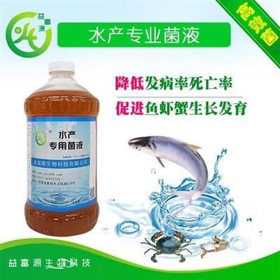紅龍魚幼魚常見疾病及防治：紅龍魚幼魚常見疾病及其防治措施，紅龍魚幼魚的防治方法
