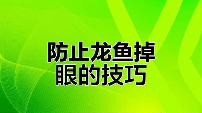 如何預防龍魚掉眼淚