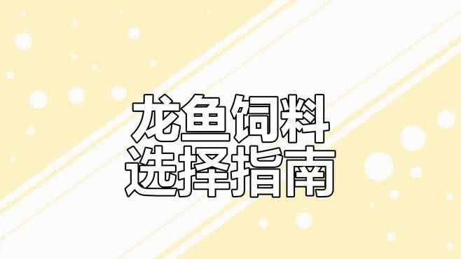 黑鱗龍魚(yú)成體后應(yīng)該喂什么食物？