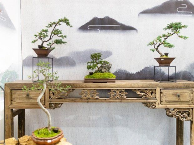 如何判斷黃銅擺件是否需要保養？