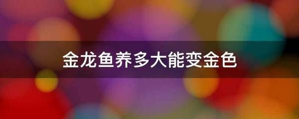 金龍魚要怎么養才容易發金色，如何讓金龍魚更容易發色