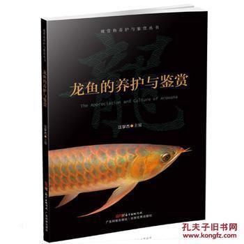 龍魚的選擇與鑒賞：如何選擇和鑒賞龍魚