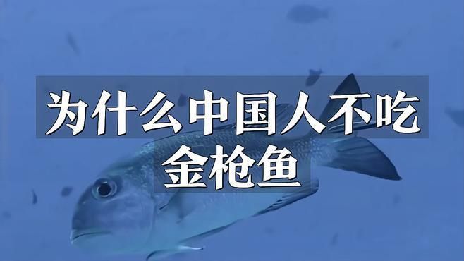 金槍魚盡量少吃的原因
