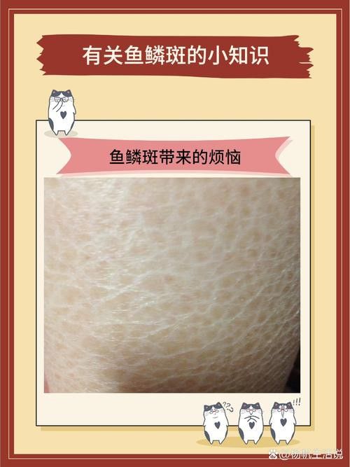 過背金龍魚發(fā)色階段圖解 龍魚百科 第37張 過背金龍魚發(fā)色階段圖解 過背金龍魚發(fā)色階段圖解 龍魚百科 第37張