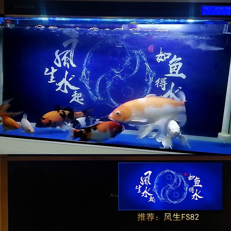 紅龍魚對魚缸的要求（養紅龍需要多大尺寸魚缸360問答紅龍魚需要多大尺寸魚缸）