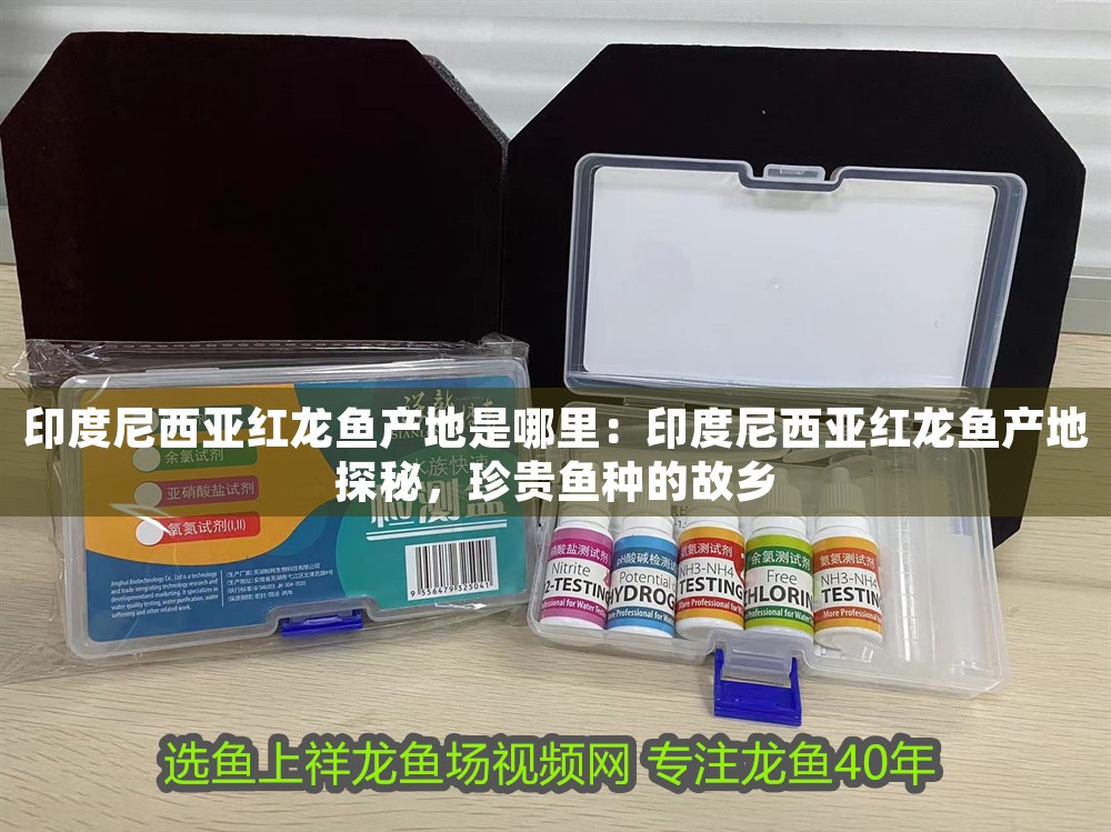 印度尼西亞紅龍魚產地是哪里：印度尼西亞紅龍魚產地探秘，珍貴魚種的故鄉