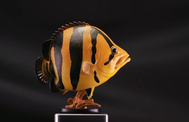 龍魚混養魚推薦圖片大全集
