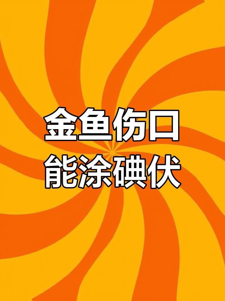 金魚潰爛了可以用碘伏擦么