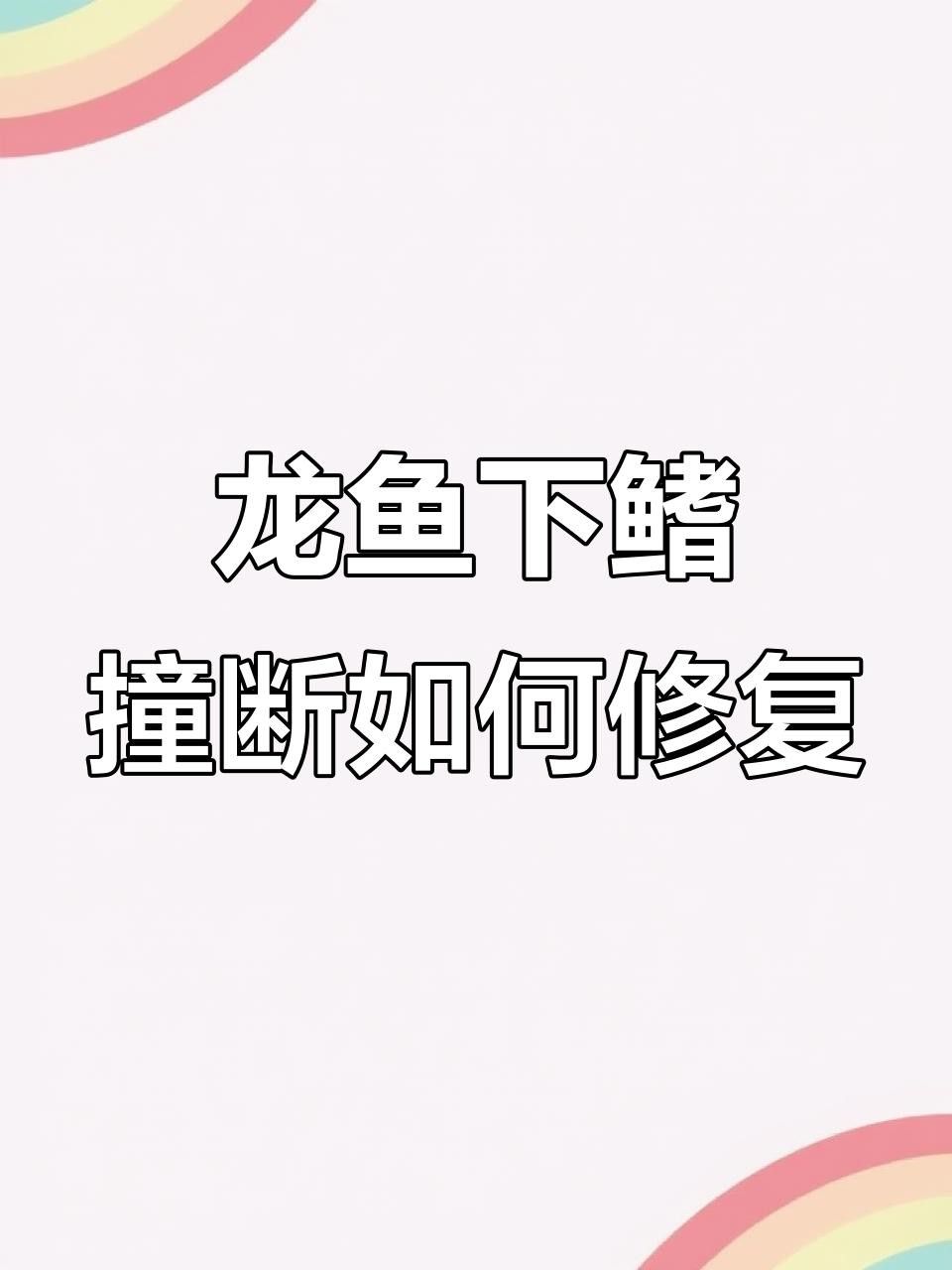 過背金龍魚鰭部受損如何處理？