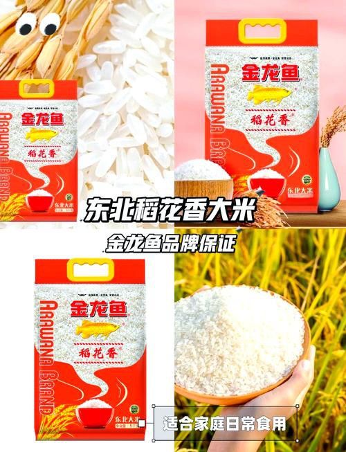 金龍魚有哪些產品系列？