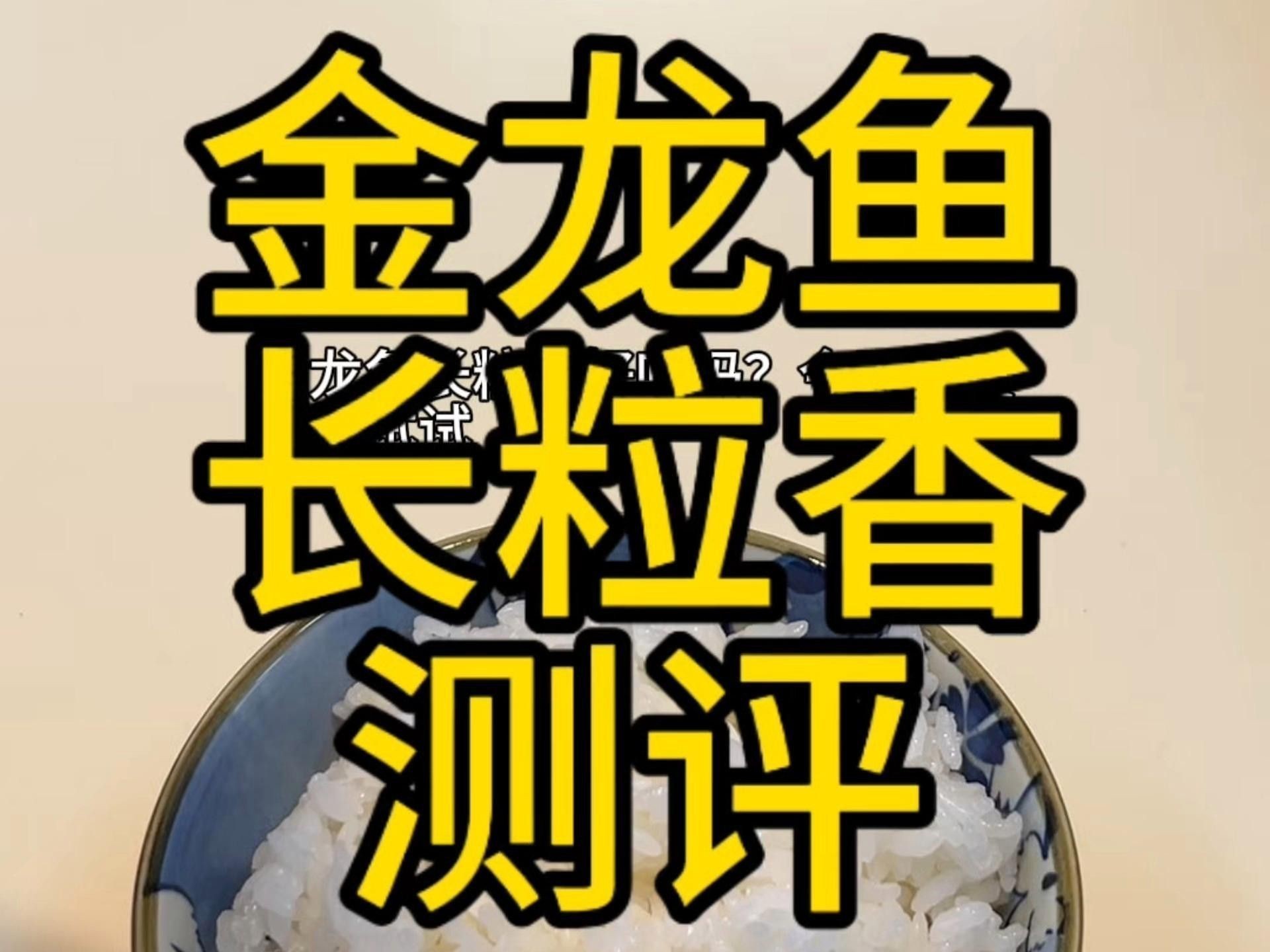 金龍魚有哪些產品系列？