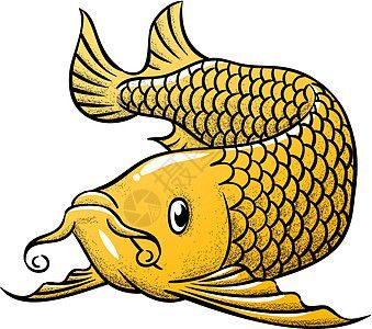 有龍魚的成語是什么：關于帶有“龍魚”的成語是什么，有龍魚的成語是什么