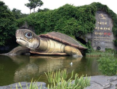 廣東湛江龍魚(yú)之謎：廣東湛江湖光巖之謎