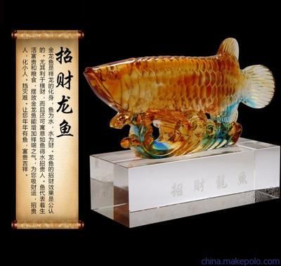 什么叫金龍魚過背：過背金龍魚的選擇技巧