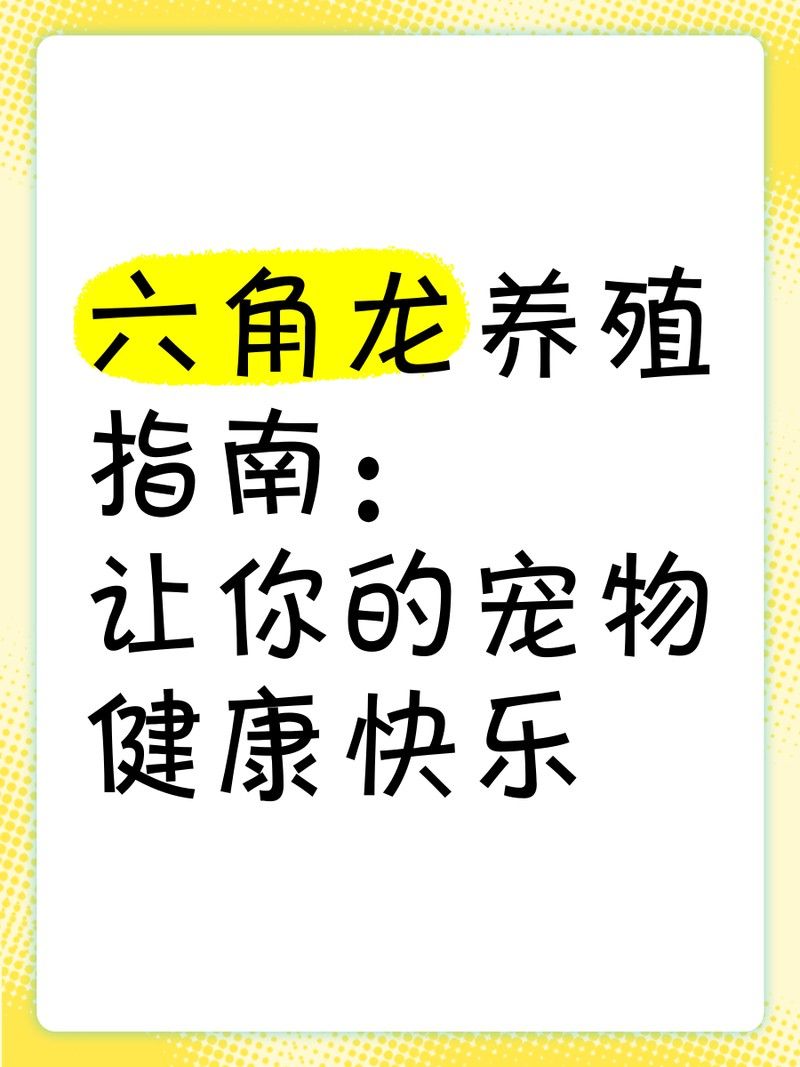 六角龍適合多大的魚缸
