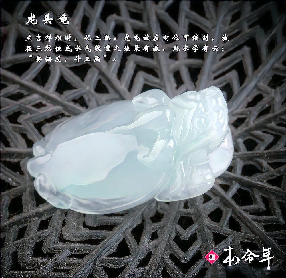 風(fēng)水上為什么很少用龍龜 風(fēng)水上為什么很少用龍龜 龍魚(yú)百科 第12張