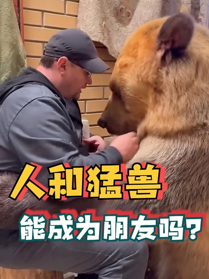 老虎養久了會認主人嗎