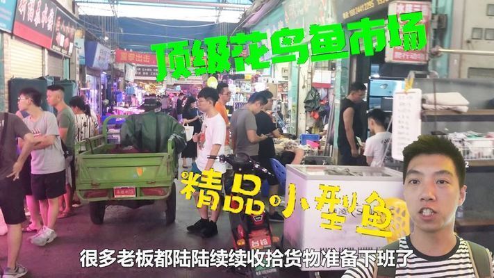 雷龍魚漁場，江蘇吳江漁場參觀指南雷龍魚市場價格趨勢雷龍魚觀賞價值評價