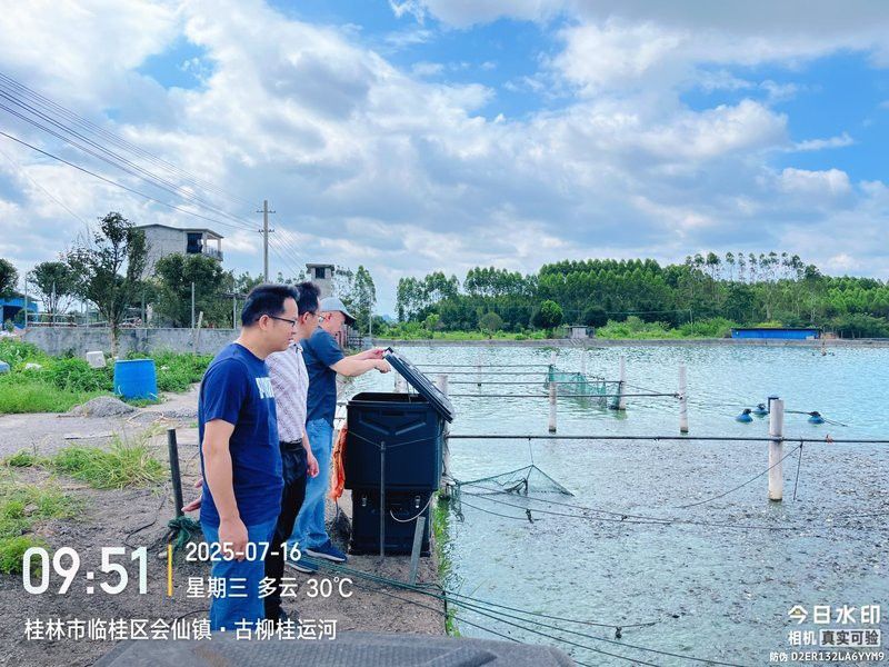 <strong><mark>桂林</mark></strong>龍魚養(yǎng)殖基地地址在哪里