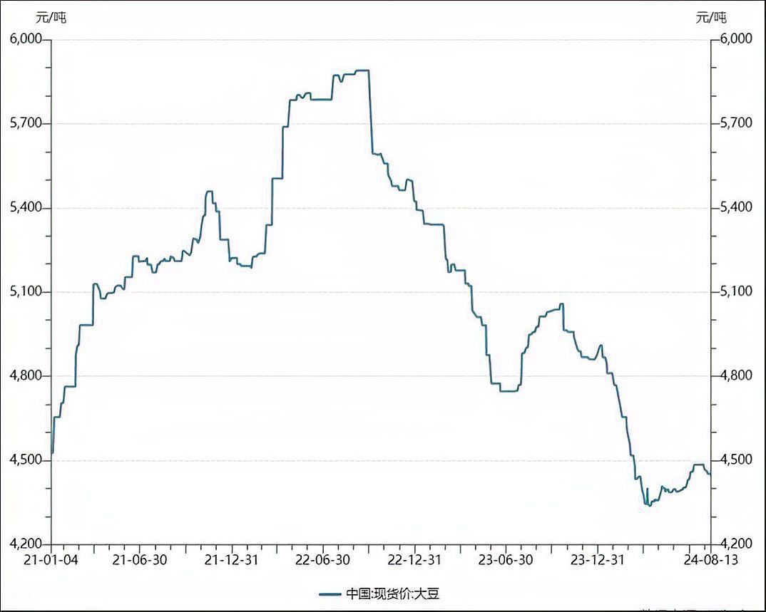 養(yǎng)殖金龍魚利潤(rùn)是多少 養(yǎng)殖金龍魚利潤(rùn)是多少 龍魚百科 第3張