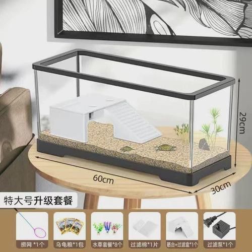 六角恐龍魚怎么養及喂養技巧圖片視頻大全