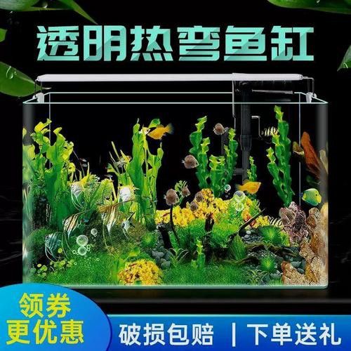 六角恐龍魚怎么養及喂養技巧圖片視頻大全