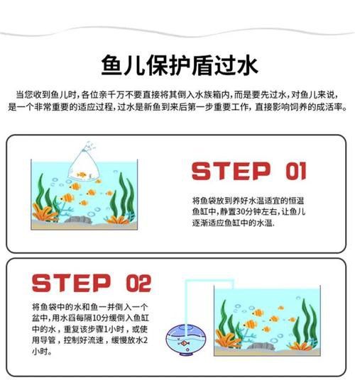 六角恐龍魚怎么養及喂養技巧圖片視頻大全
