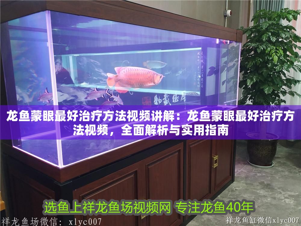 龍魚蒙眼最好治療方法視頻講解：龍魚蒙眼最好治療方法視頻，全面解析與實用指南