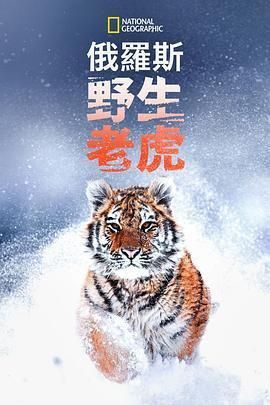 老虎的視頻觀看完整版