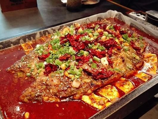 江水尋龍魚好吃嗎：渭南市人民代表大會常務委員會簡述),鱘龍魚好吃嗎