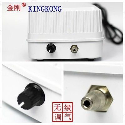 龍魚缸氧氣泵用不用一直開著：關于龍魚缸氧氣泵使用的建議