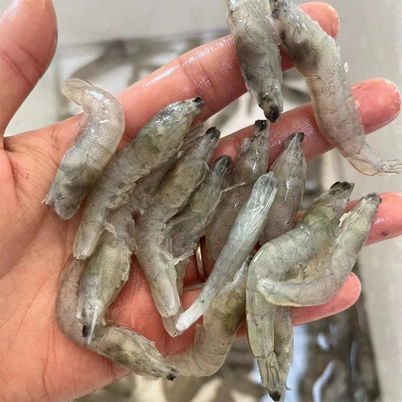 龍魚可以喂人吃的冷凍蝦仁嗎,龍魚可以喂人吃的冷凍蝦仁,但需注意食品安全和飼養條件 龍魚百科 第1張 龍魚可以喂人吃的冷凍蝦仁嗎,龍魚可以喂人吃的冷凍蝦仁,但需注意食品安全和飼養條件 龍魚可以喂人吃的冷凍蝦仁嗎,龍魚可以喂人吃的冷凍蝦仁,但需注意食品安全和飼養條件 龍魚百科 第1張