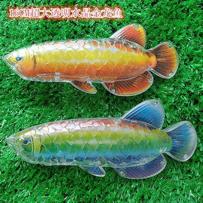 畫金龍魚怎么畫簡筆畫好看：畫金龍魚的簡筆畫的基本步驟