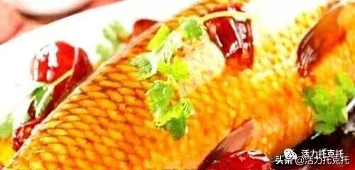 \"大白龍是什么魚\"是什么魚\"：\"大白龍\"這個名稱可以指代幾種不同的魚類