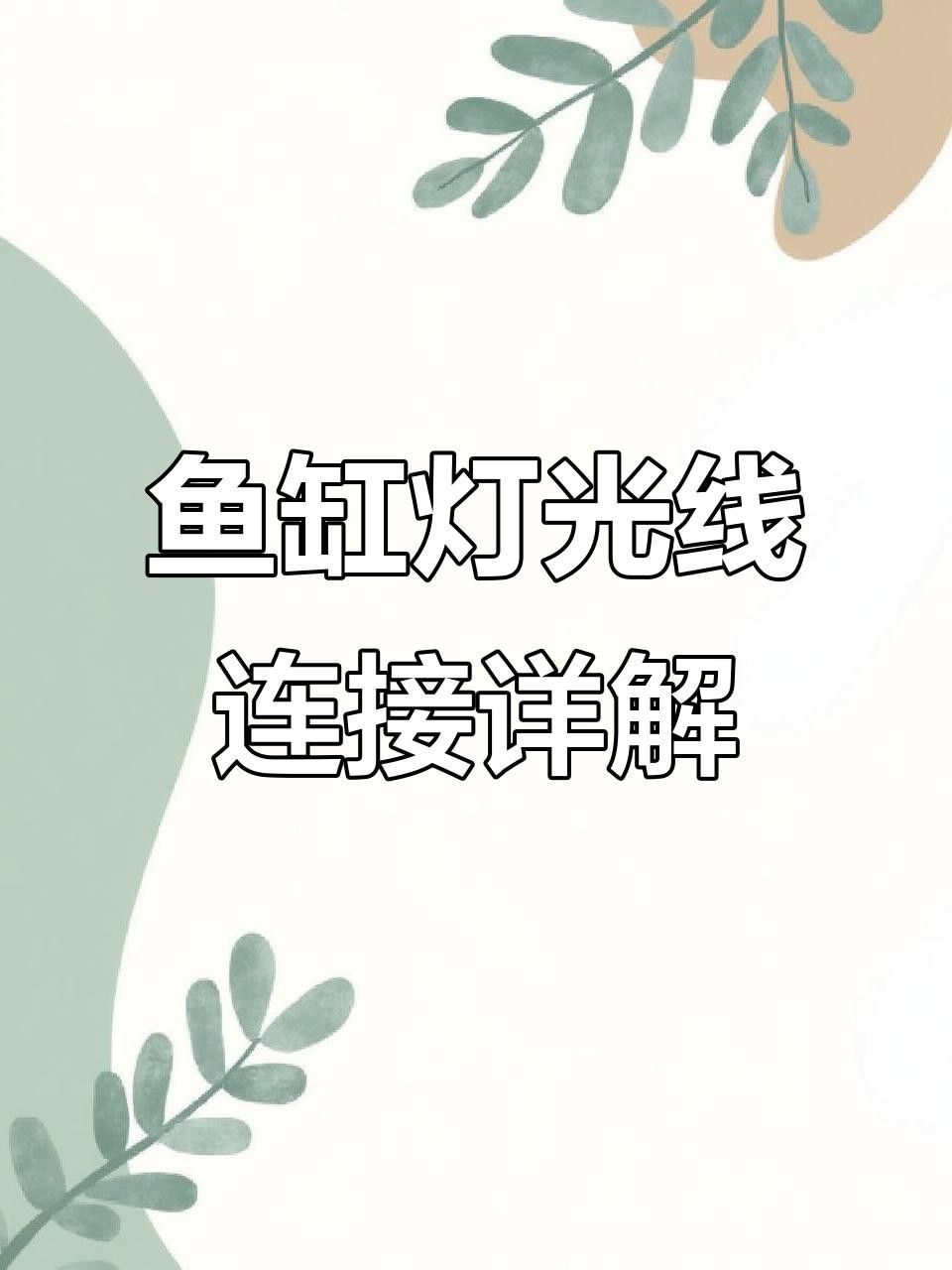 如何安裝龍魚夜燈