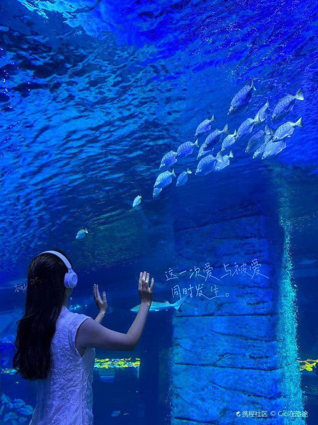哪里的海洋館最值得一去