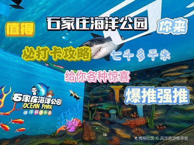 哪里的海洋館最值得一去