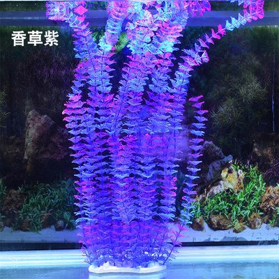 龍魚突然跳缸掉鱗：龍魚跳缸掉鱗后恢復(fù)時間因個體差異和具體情況而異 龍魚突然跳缸掉鱗：龍魚跳缸掉鱗后恢復(fù)時間因個體差異和具體情況而異 龍魚百科 第3張