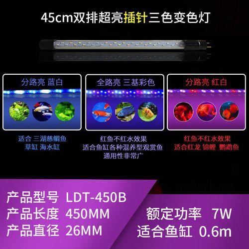 哪種類型的龍魚缸燈更適合？